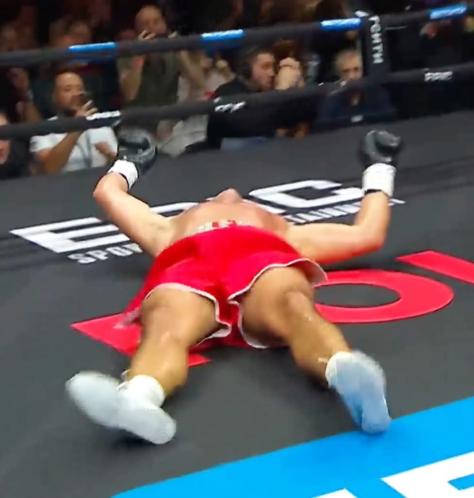 Cattleya tweet media