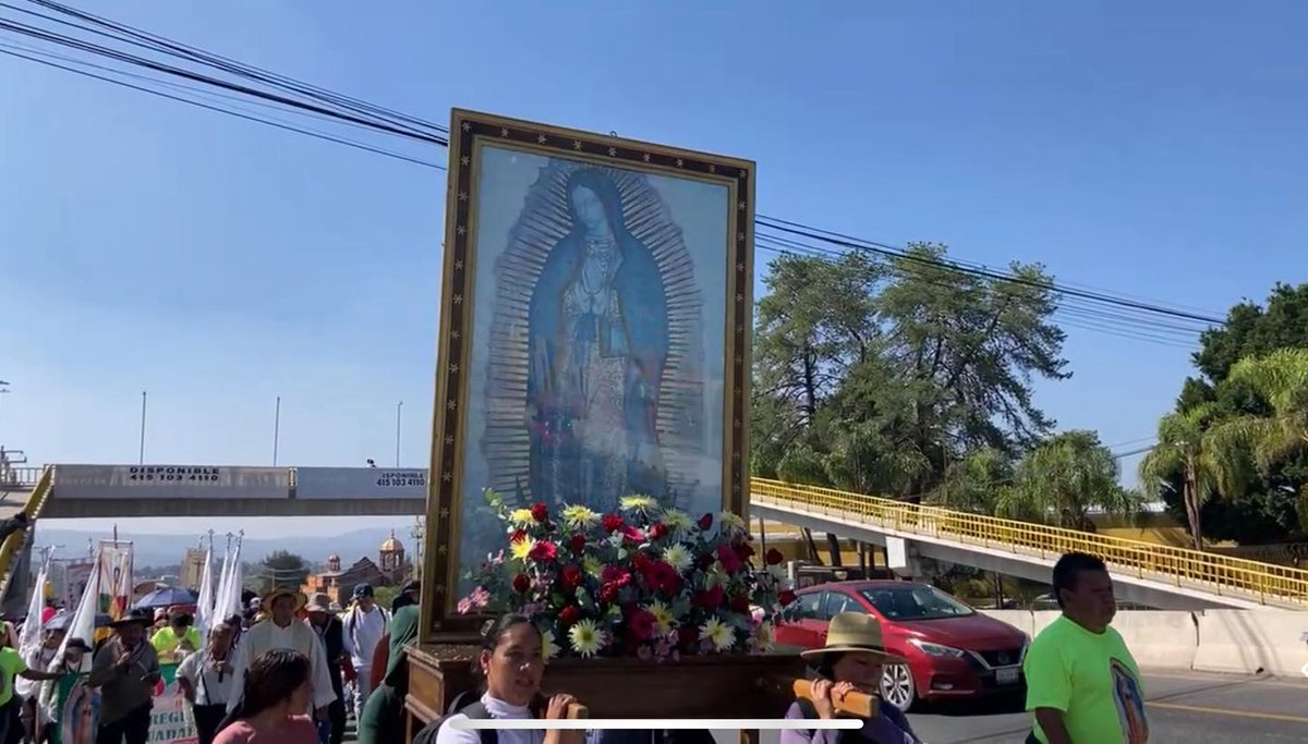 NewsSanmiguel's tweet image. #LUPITA. 🔴 La #peregrinación en honor de la Virgen de Guadalupe de la #Parroquia de San Antonio de Padua en San Miguel de Allende
#sanmigueldeallende #Virgendeguadalupe #morenita #morenitamia #Guadalupe