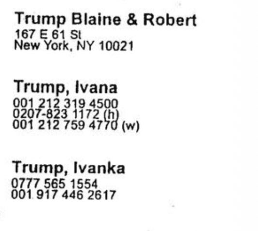 nerdyactivist84's tweet photo. No wonder @realDonaldTrump doesn’t want the Epstein files released! His whole family is on the list as well as the orange muppet https://t.co/9fxpSNshSS