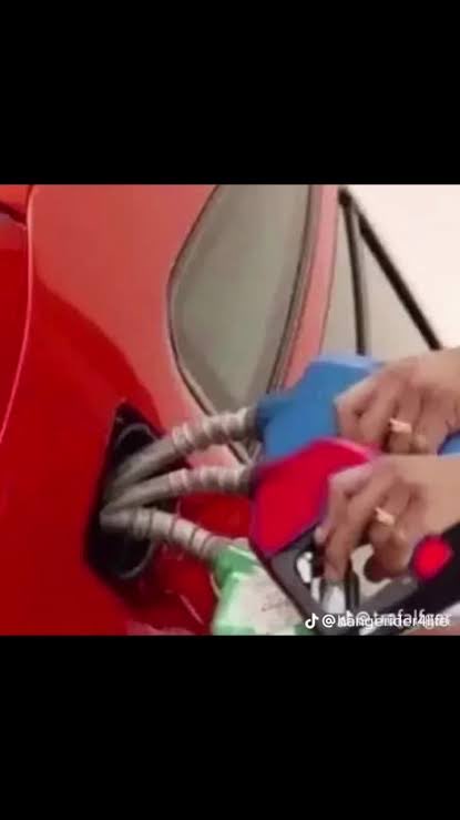 Brisbane Otter 🇦🇺 tweet media