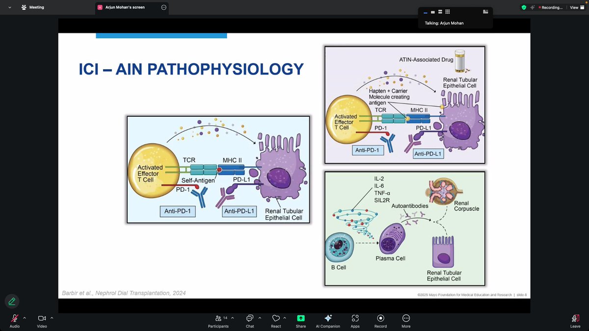 Sabine Karam tweet media