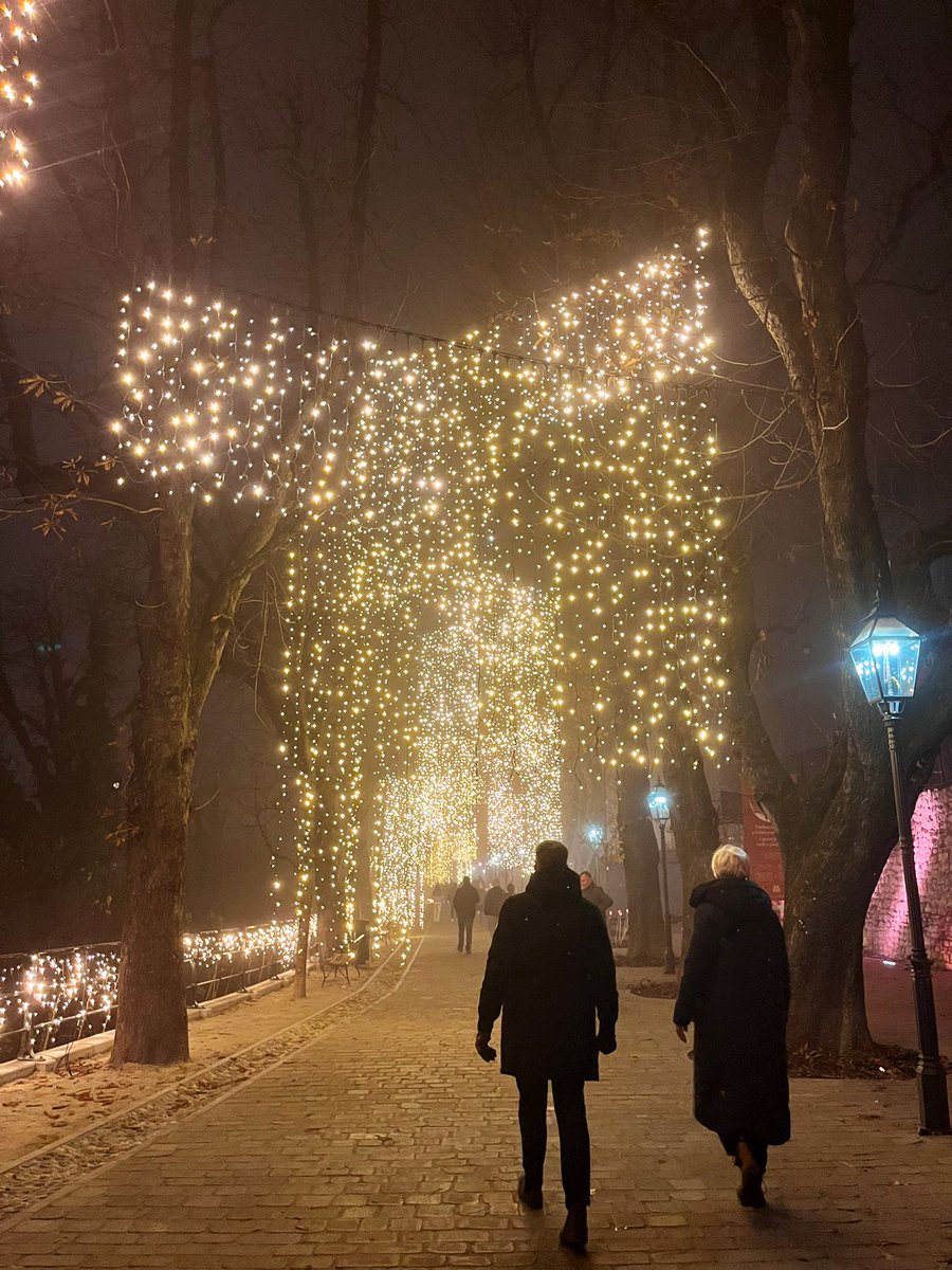 sandra djajic tweet media