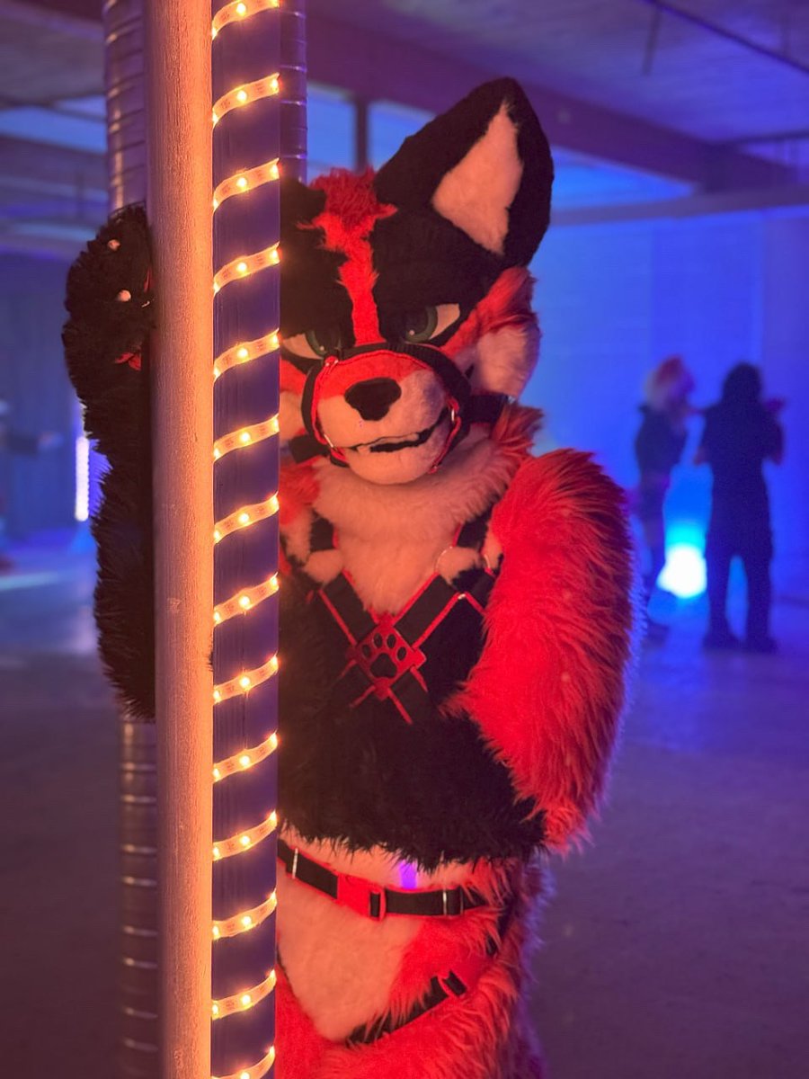 Chase the Fox tweet media