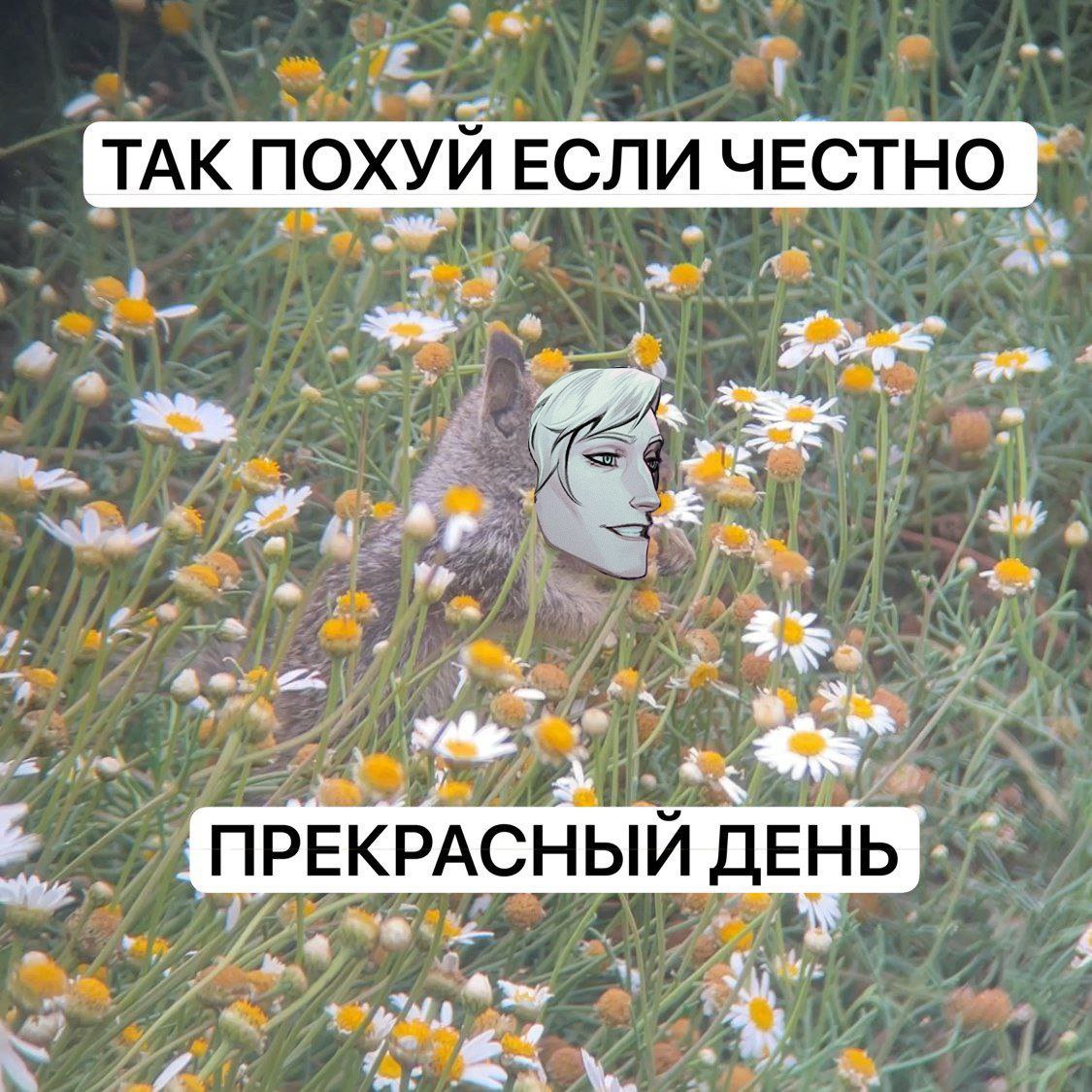 #маршаллсмит