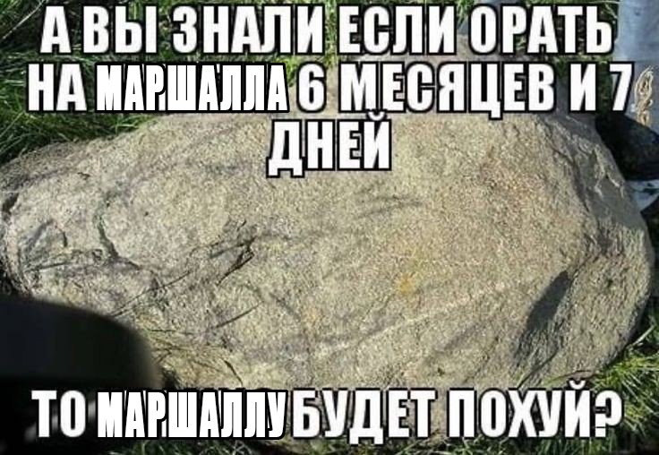 картинка для рашида