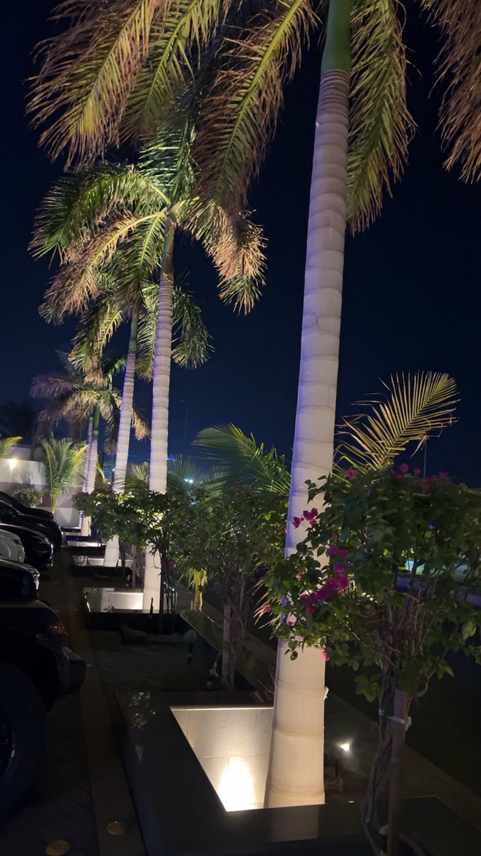 SAAD3d0's tweet image. 