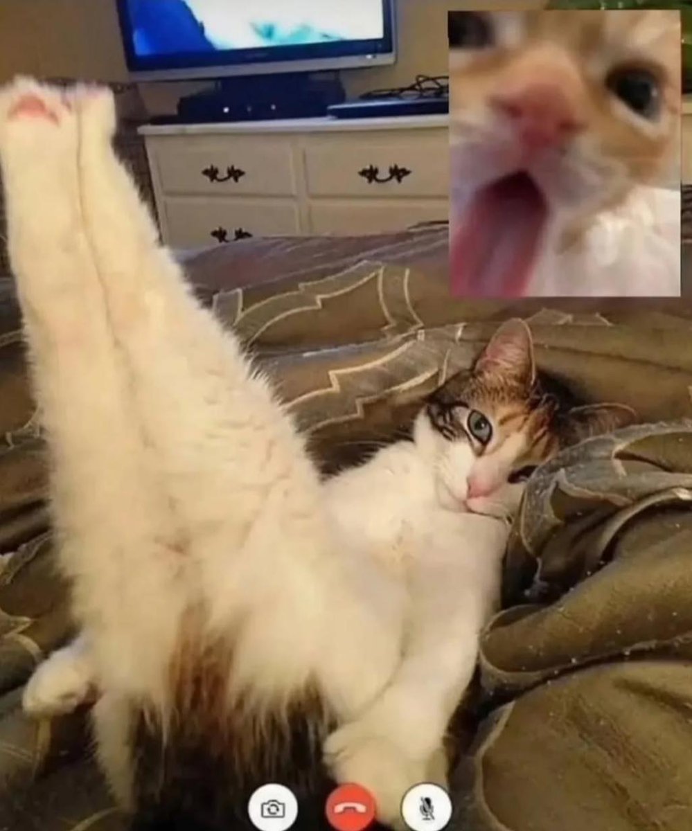 Images That Make You Feel Pain (@manmilk2) on Twitter photo 