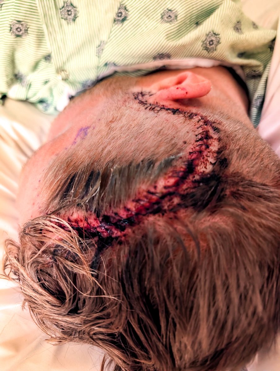 Tristan Jass tweet media