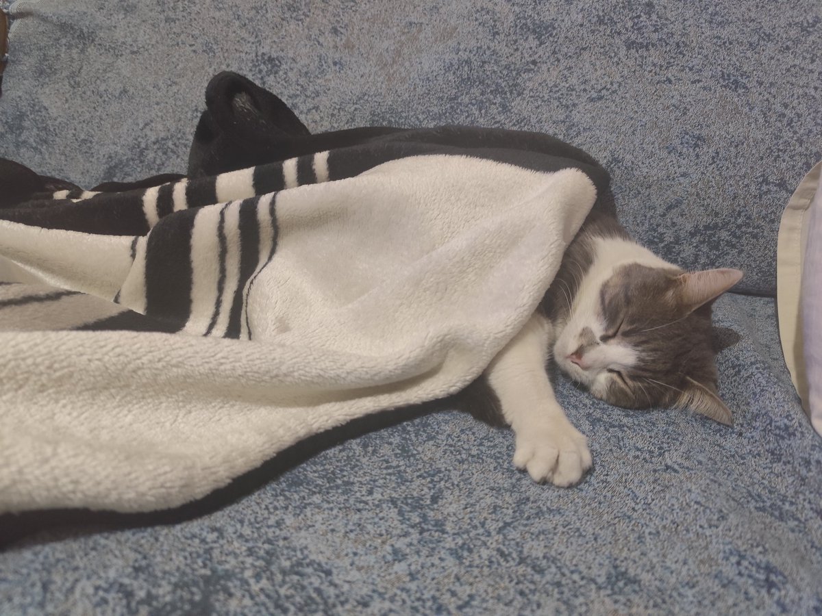 Ne güzel de beni seçtin.. Kedom benim güzel kızım.🐱