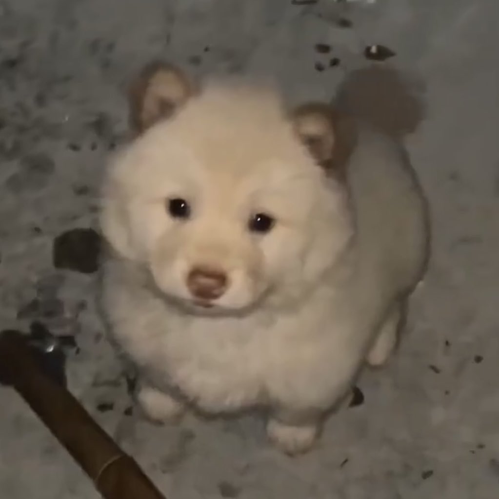 태래보고싶네에………