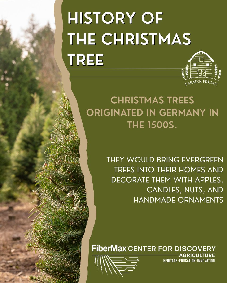 FiberMaxCenter's tweet image. Happy #FarmerFriday everyone! 

With Christmas approaching, lets take a look at one of the most common decorations, the Christmas tree. 

What type of tree do you use in your house? 

#FCFD #Tree #AgEducation #History #Christmas