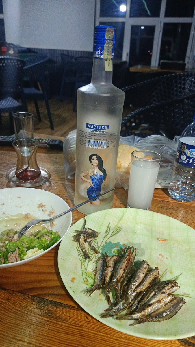 🇹🇷🇹🇷LAN VATAN HAİNLERİ ALAYİNİZN.....