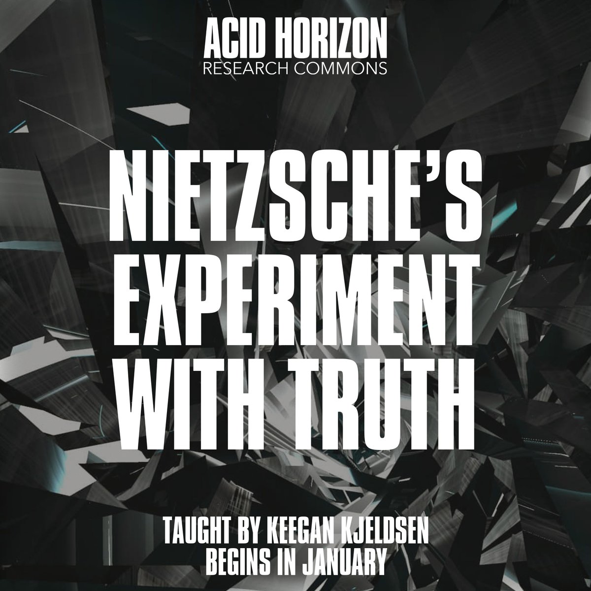 ACID HORIZON tweet media