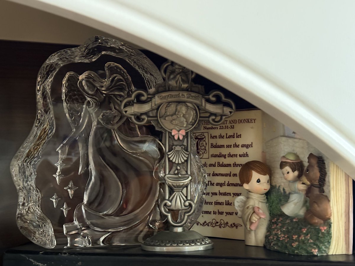 httpdenali's tweet image. ദ്ദി◝ ⩊ ◜)