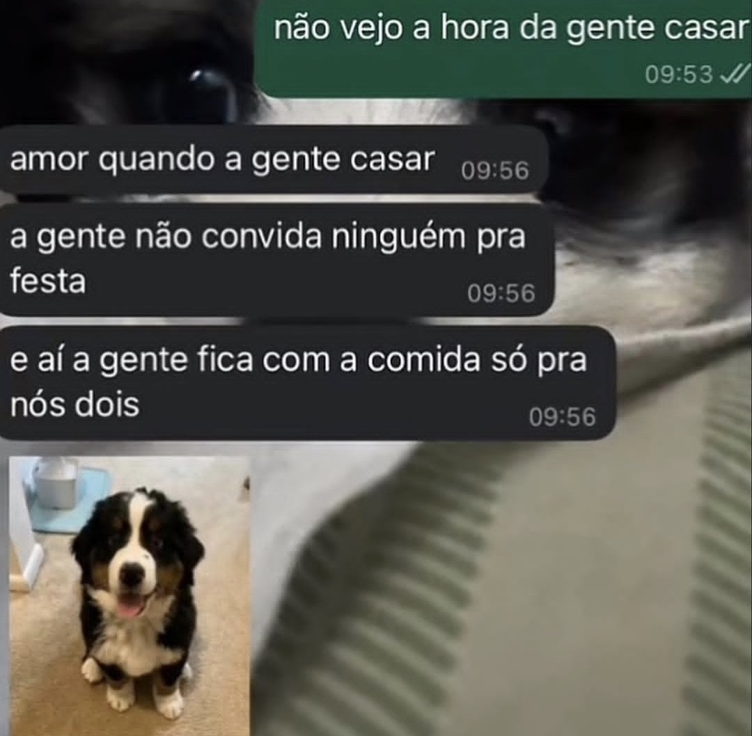 memeparaoarroba's tweet photo. https://t.co/SvKcsd9LeV