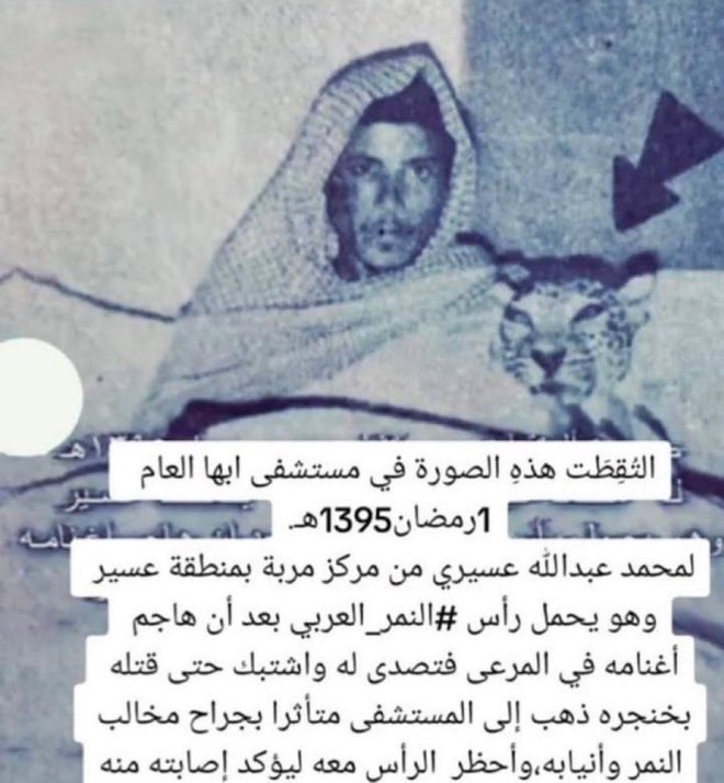 سهم tweet media