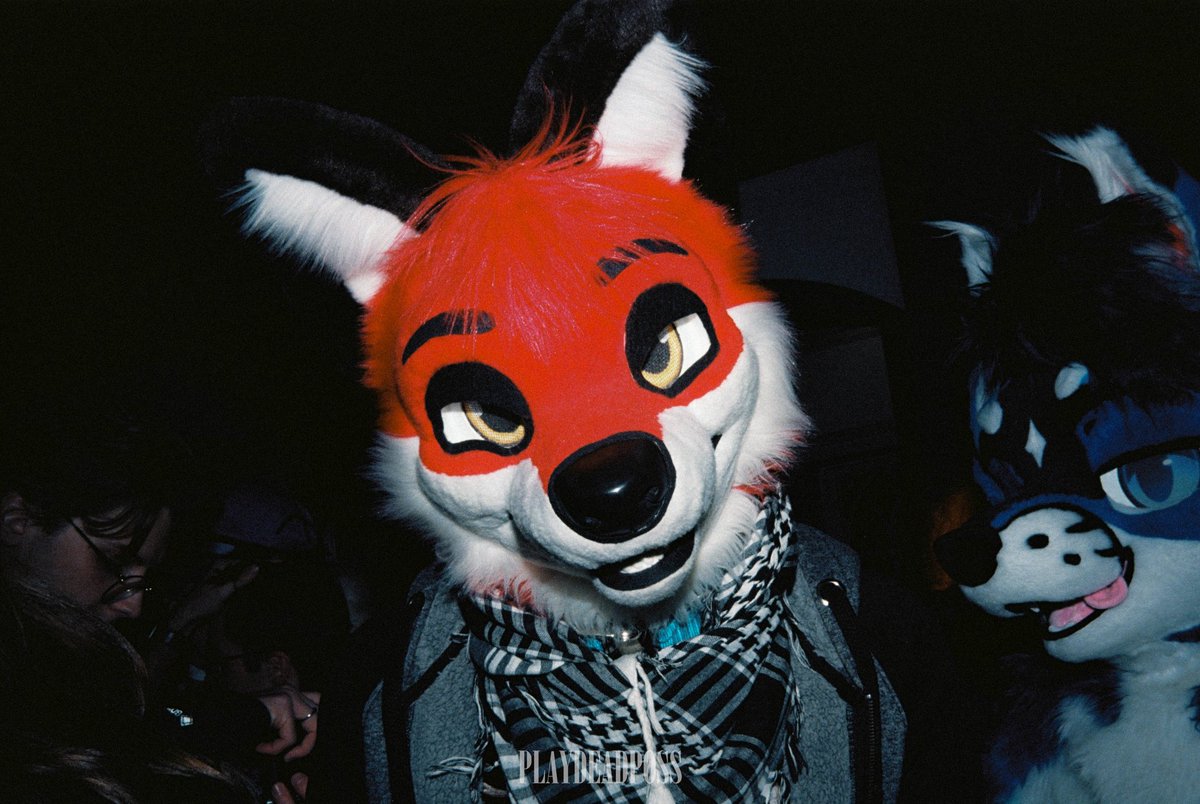 Danny 🗑️ tweet media