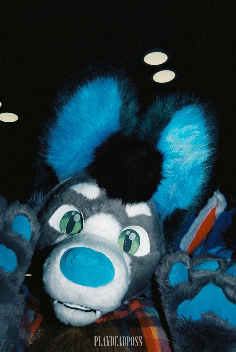 playdeadposs's tweet image. 