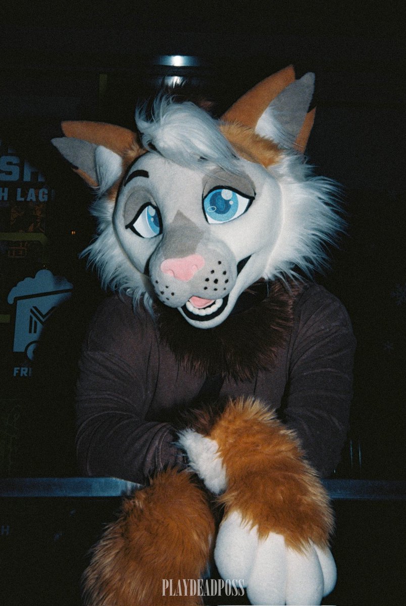 playdeadposs's tweet image. 