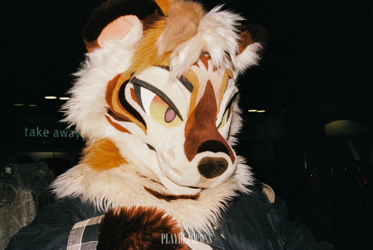 Danny 🗑️ tweet media