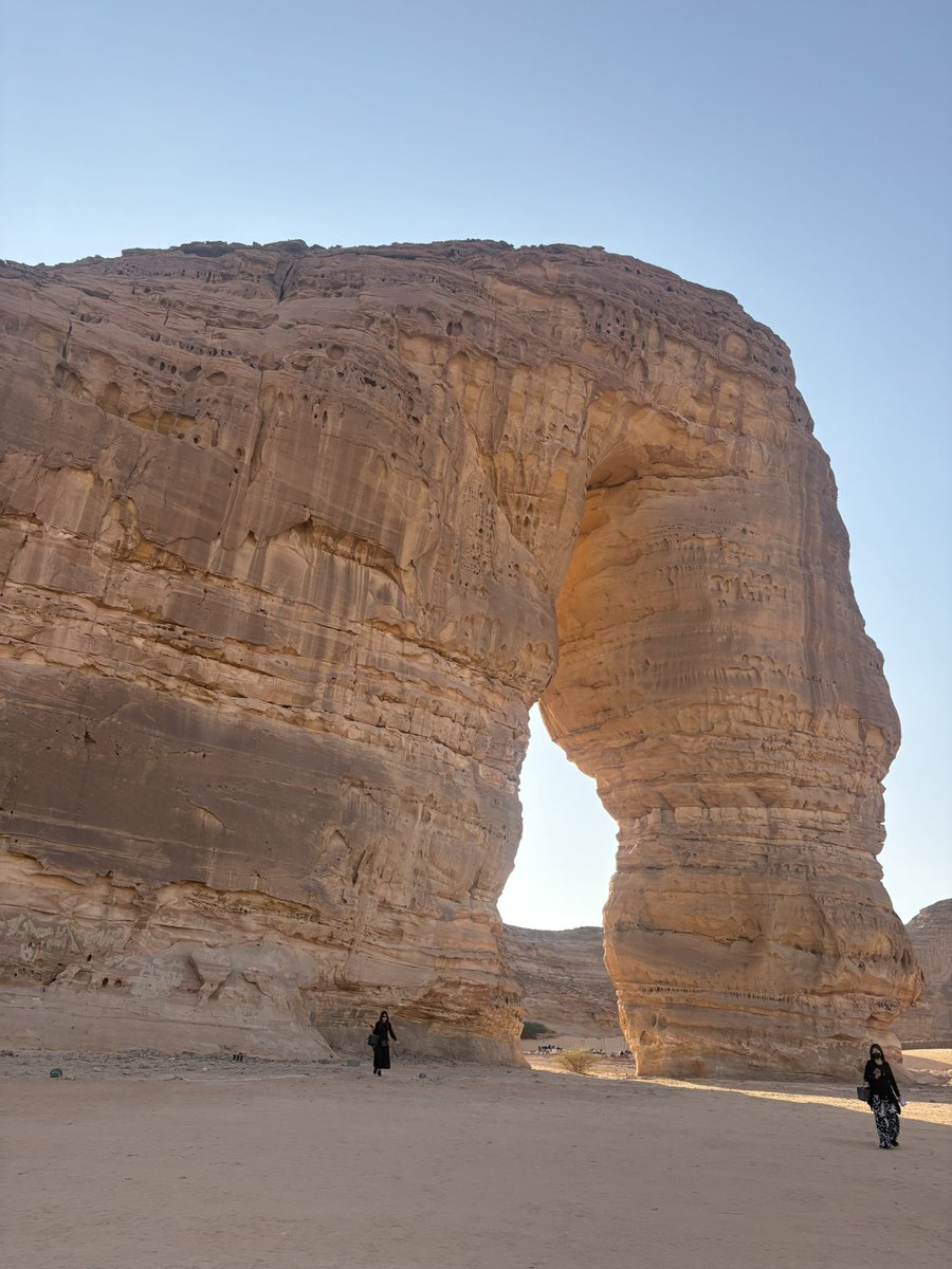 sadeq ALALAWI tweet media