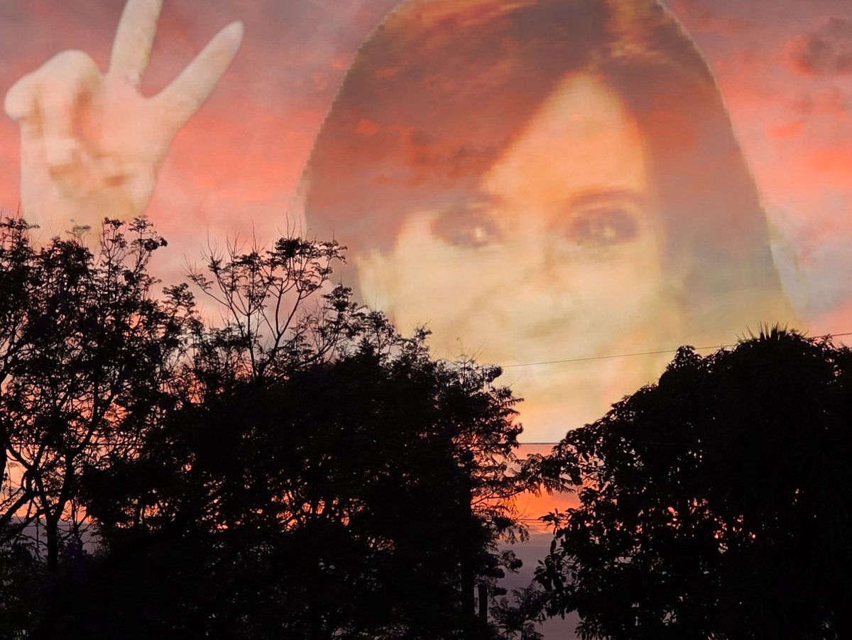 Como ve una persona normal un atardecer

Como lo ve un gorila