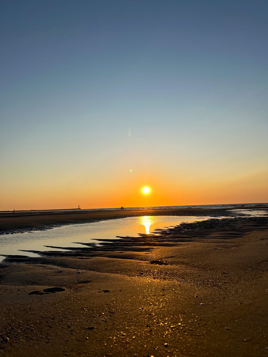 Mimoone's tweet image. 