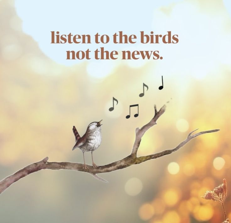 PositivitySaid's tweet image. 