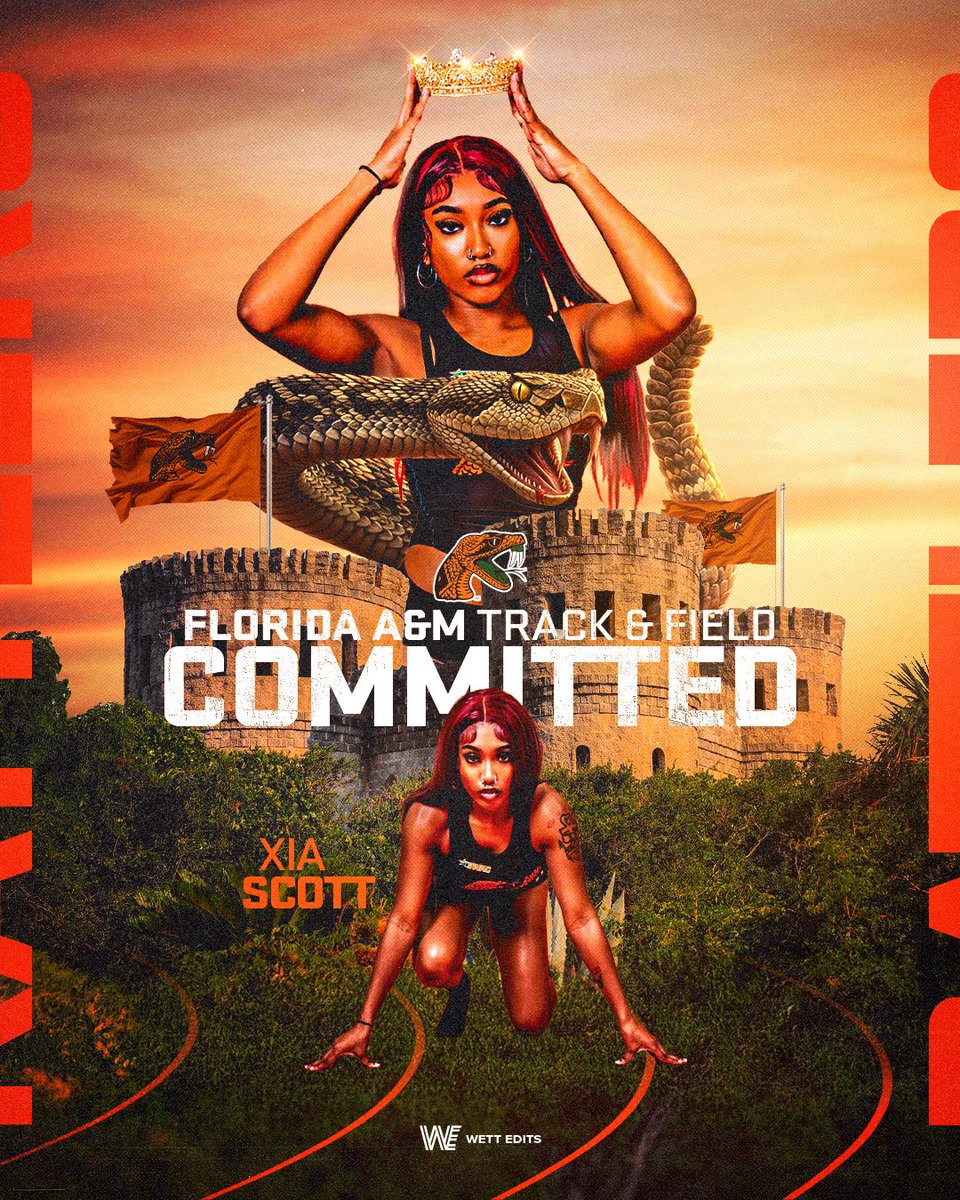 Xia Scott tweet media