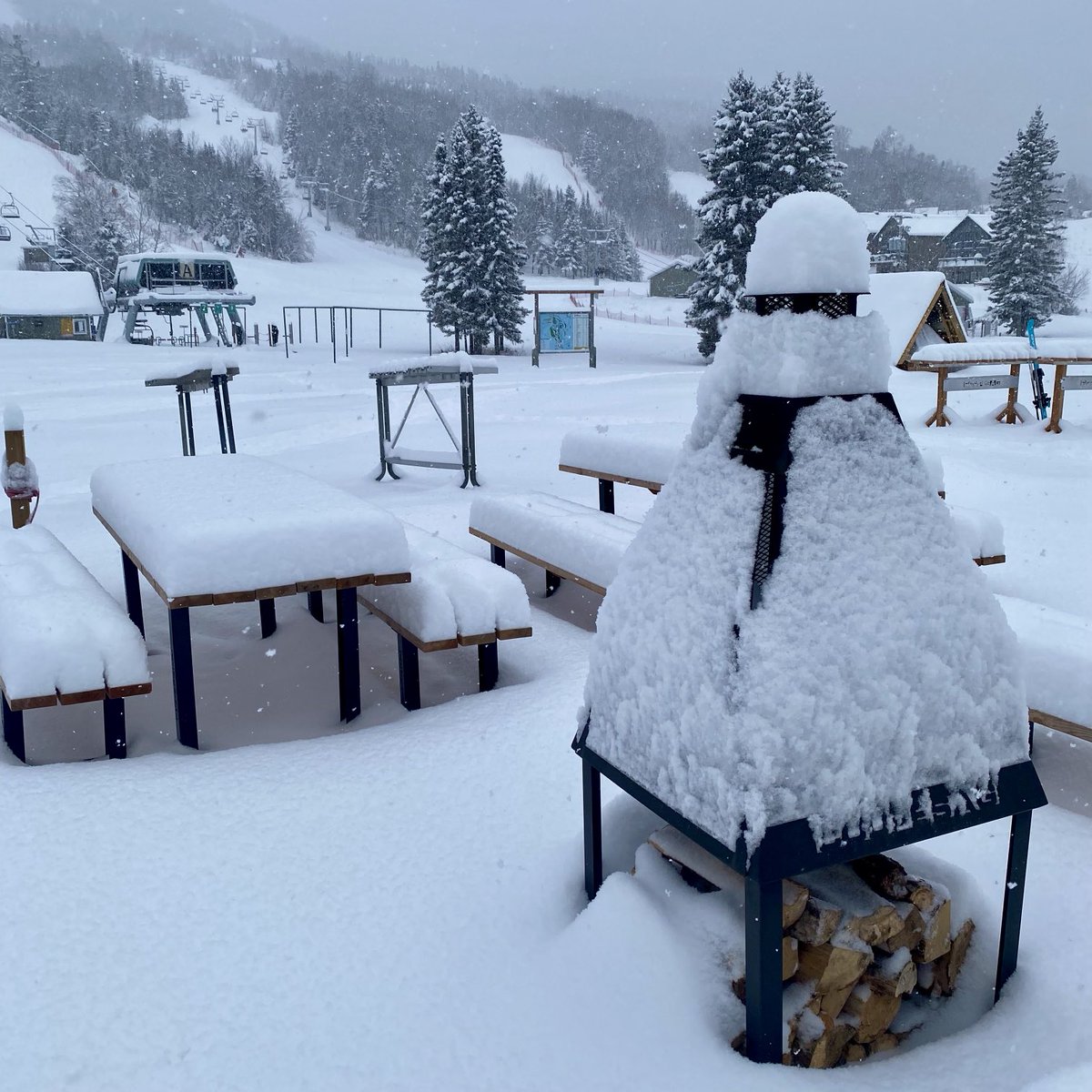 I thought the highlight of the week was the powder skiing yesterday, but the $MSOS sector news from the White House made it even better. $MSOX for trading leverage.