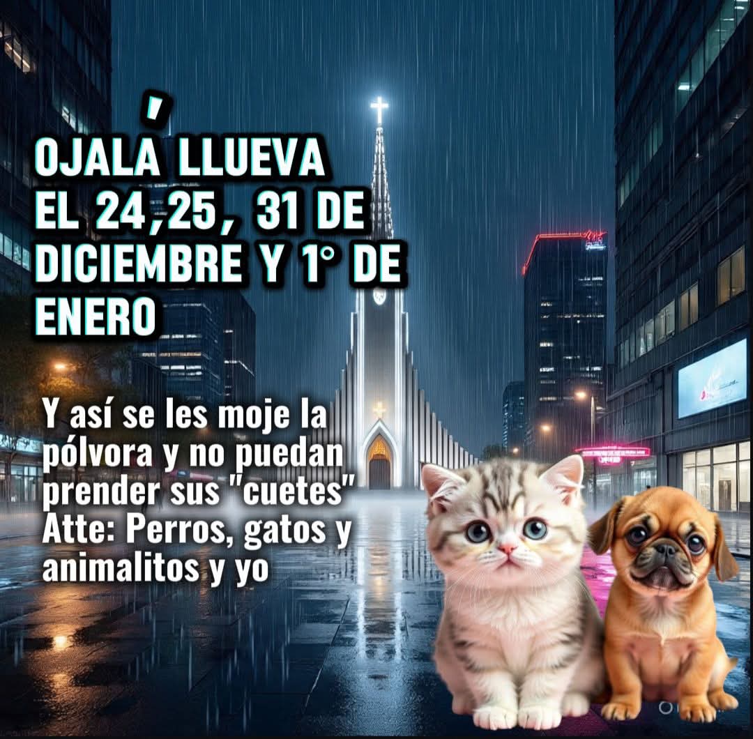 GRamirezF_D12's tweet photo. Espero que mi deseo se cumpla 🙌 https://t.co/CAecyGIeYU