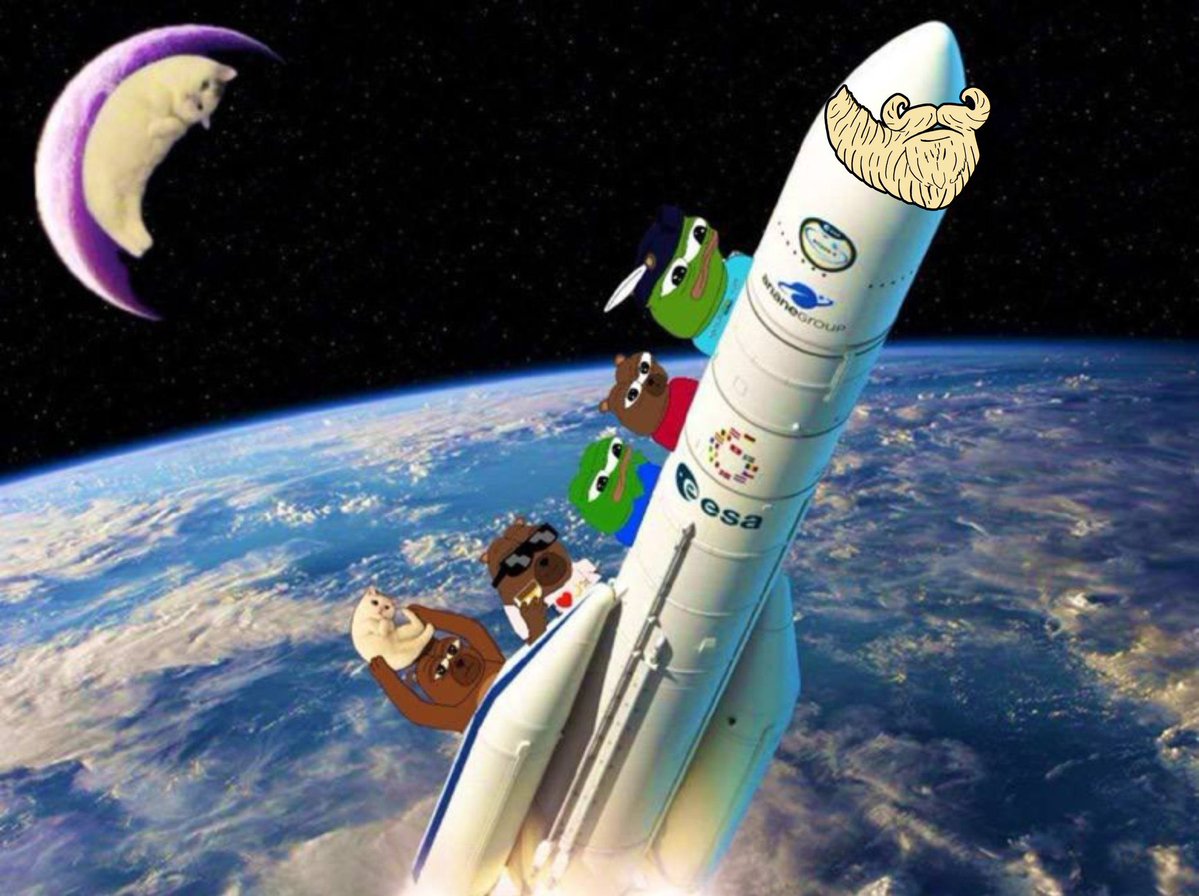 FatNostril's tweet image. Look at your bags anons - what emotions do you feel? Are you underwater? Struggling to make rent? Did you spend your wife’s new handbag money on a frog JPEG and now she’s gonna leave you for Howard Winklestein because he owns his own T-shirt printing business? 

Whatever the…