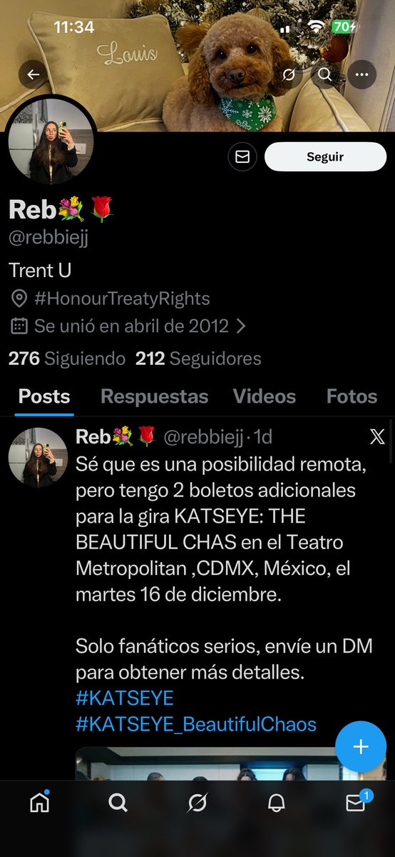 Lic perrito kpooper tweet media