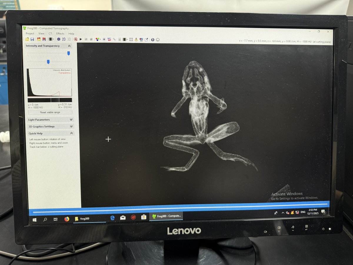 bellesarh's tweet image. CT😴