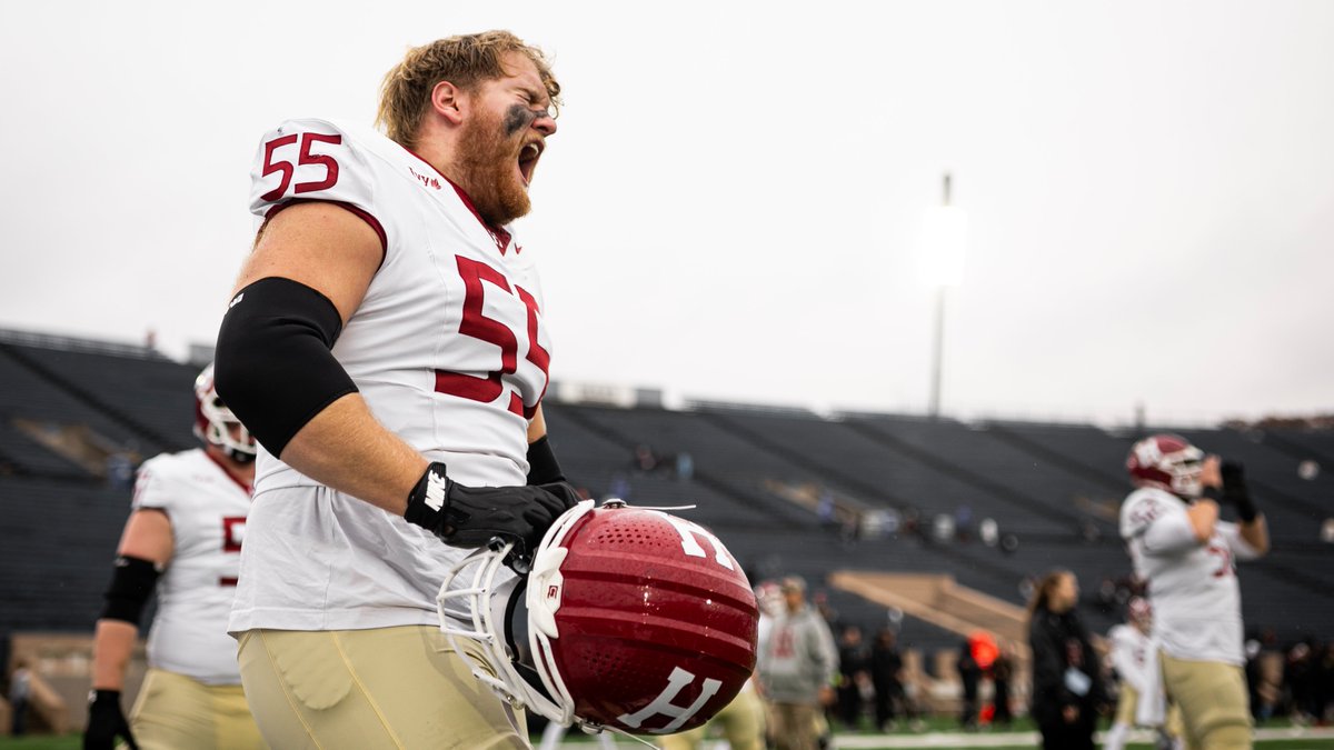 Cam Mellor tweet media