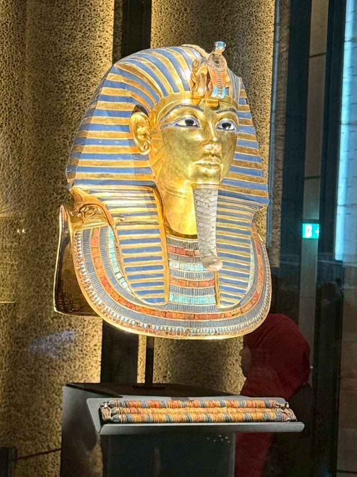 虫眼鏡【東海オンエア】 tweet media