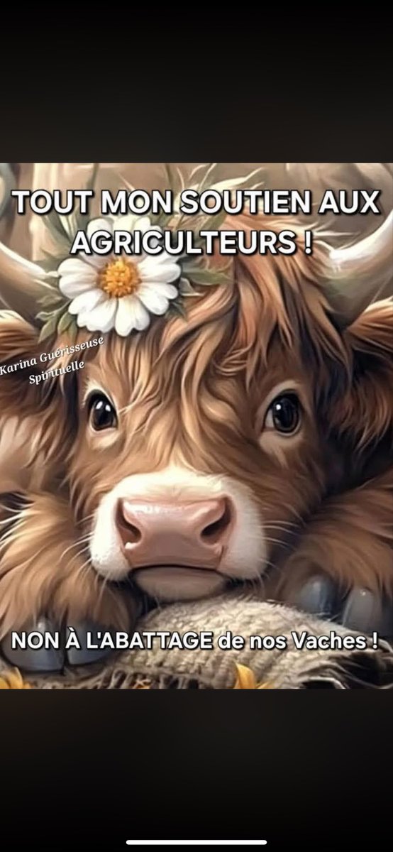 <a href="/GilbertCollard/">Gilbert Collard</a> ⛔️ MACRON envoie plutôt les FDO dans les cités et virer ces racailles qui agressent les francais .. La HONTE 👇👇