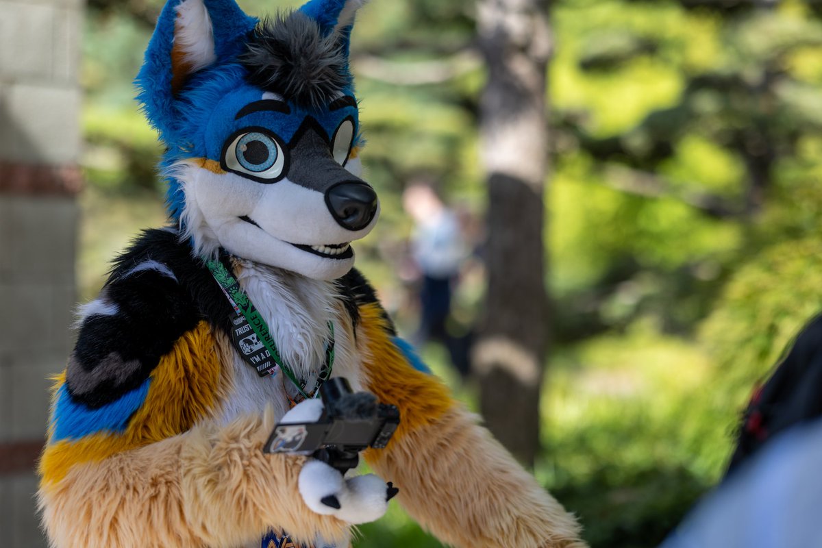 Nexus the Jackal 🔜 2Dance tweet media