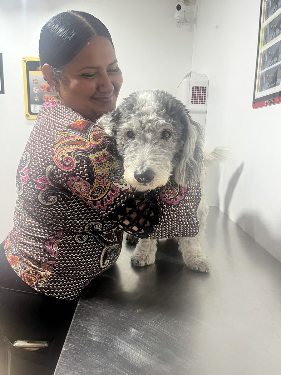 <a href="/peludos_sv/">Peludos sv</a> <a href="/ApadrinaColitas/">ApadrinaColitas🐕🐶</a> <a href="/ElLinajedeJesus/">El Linaje de Jesus</a> <a href="/nayibbukele/">Nayib Bukele</a> <a href="/BancadaCyan/">Bancada Cyan 🇸🇻</a> <a href="/SivarNewsSV/">Sivar News</a> <a href="/soymalefic/">Maléfica</a> <a href="/NAguilar2019/">Nina Aguilar</a> <a href="/61Sandyva/">Sandy🐾🐶🐱🐾😇</a> <a href="/ilovelymoon/">Helping Animals SV 🇸🇻</a>