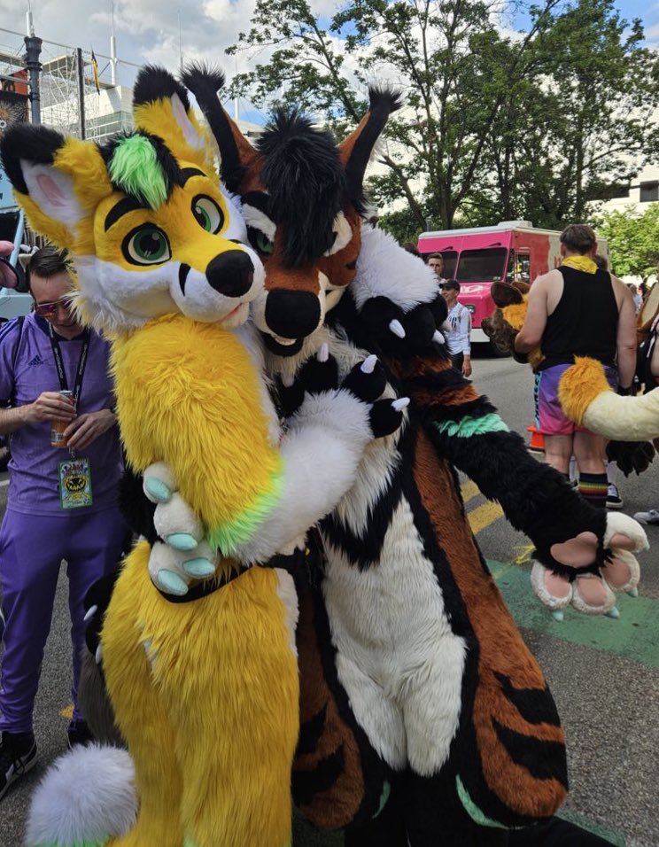 This dog smells like 🍍!!! #FursuitFriday 
🦊: <a href="/ZingoFusky/">Zingo 🦊</a>