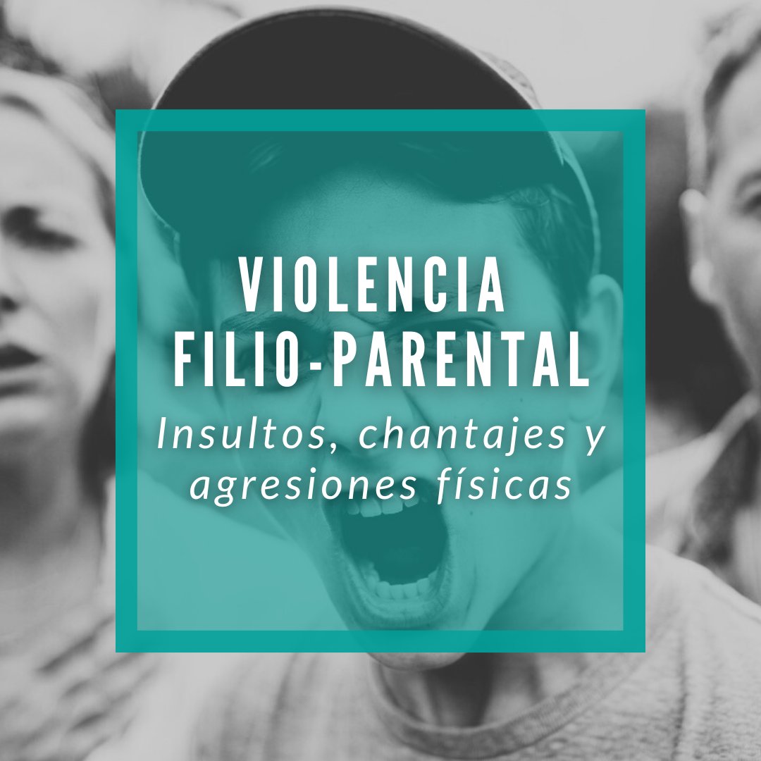 La violencia filio-parental no solo  comienza con un golpe: antes llegan insultos, chantajes y silencio.

En 2024 se abrieron 4.425 expedientes, pero solo representan aprox. el 15% de los casos reales.

🔗 Más info: elcorreo.com/bizkaia/anos-h…

#VFP #ViolenciaFilioparental #SEVIFIP