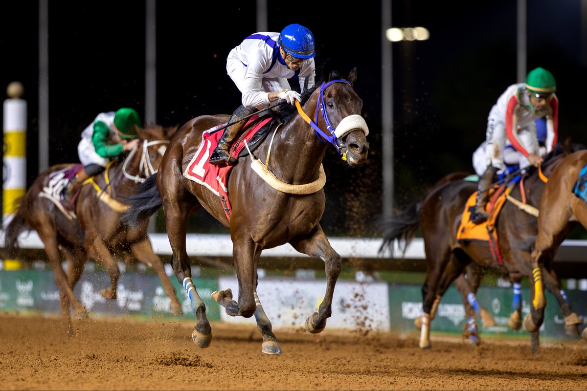 JockeyClub_SA's tweet photo. نتيجة الشوط الـ 12 الحفل ( 46 ) 

◻️الفائز : عدنان
◻️المالك : الأمير سعود بن سلمان بن عبدالعزيز 
◻️المدرب : الاسعد مروان
◻️الخيال : لويس موراليس
◻️المسافة : 1800م

#نادي_سباقات_الخيل
#موسم_سباقات_الرياض https://t.co/UvxvNkfURt