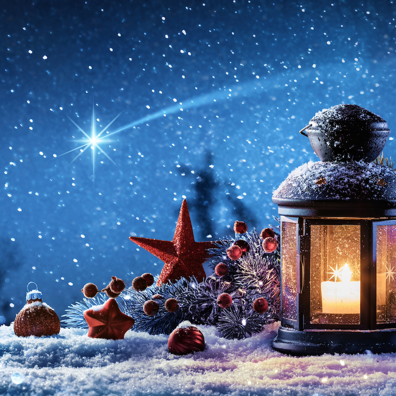 Holistic Wellbeing tweet media