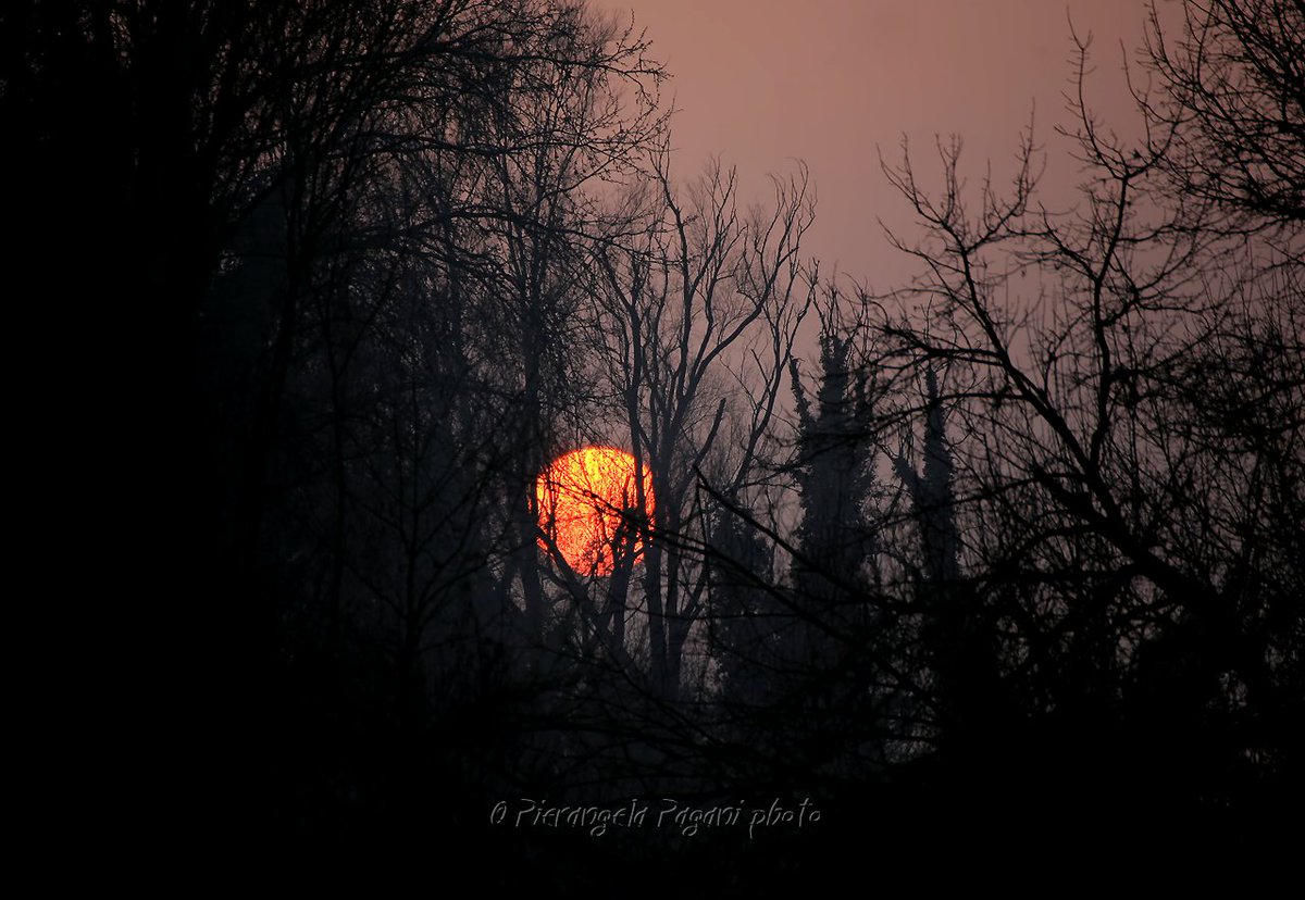 @ferrarisergio4 tweet media