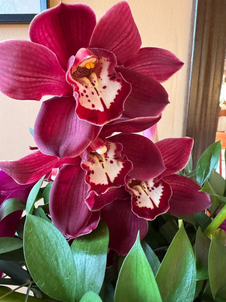 Julie Feldstein,MD tweet media