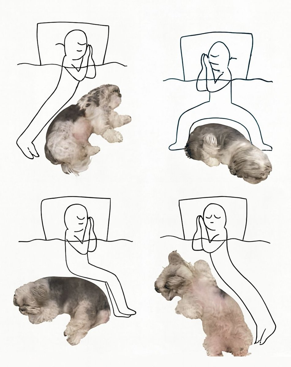 Dalbodog's tweet image. This is why humans wake up tired and dogs wake up refreshed. 🤣