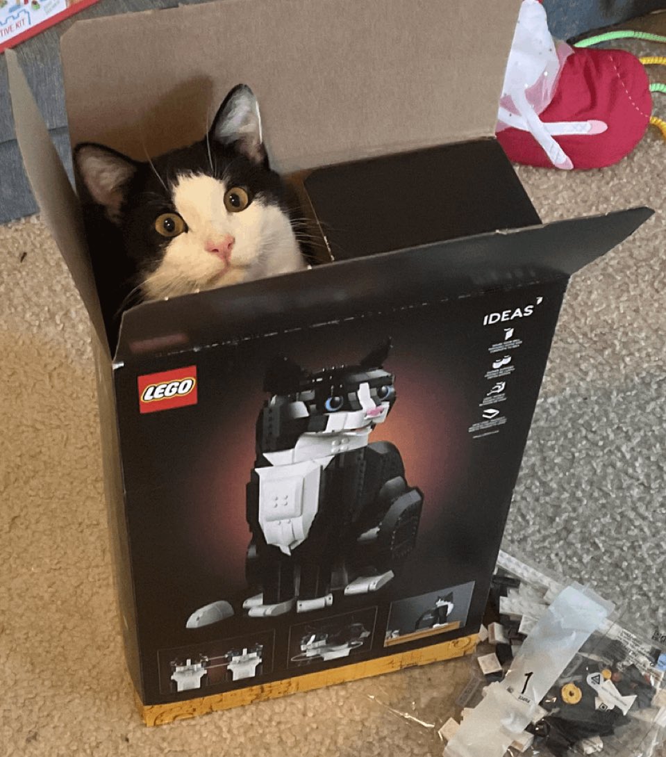 Animalesaprieto's tweet image. Abrí la caja y ya estaba armado.