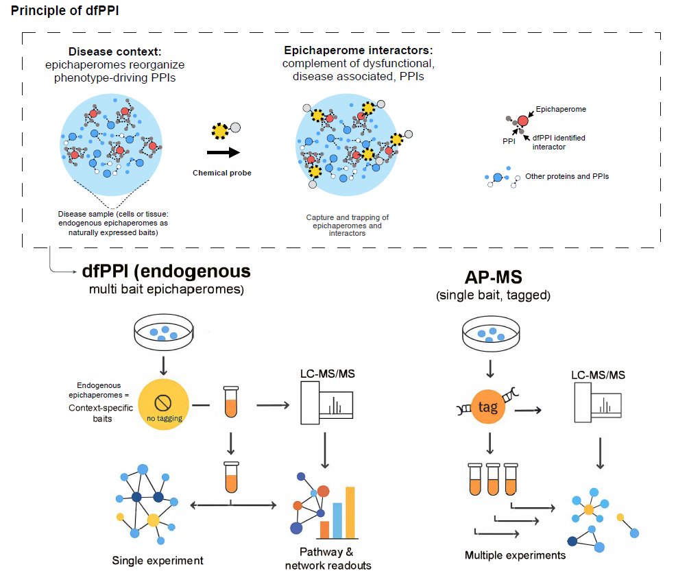 GabrielaChiosis's tweet photo. Most omics measure abundance. Disease rewires interactions.
Our @JoVEJournal protocol describes dfPPI, an endogenous, systems-level method to capture dysfunctional PPI networks directly in native samples. https://t.co/0s85Z1Q6ap
#ProteinInteractions #SystemsBiology #Proteomics https://t.co/9pBdpJV92U