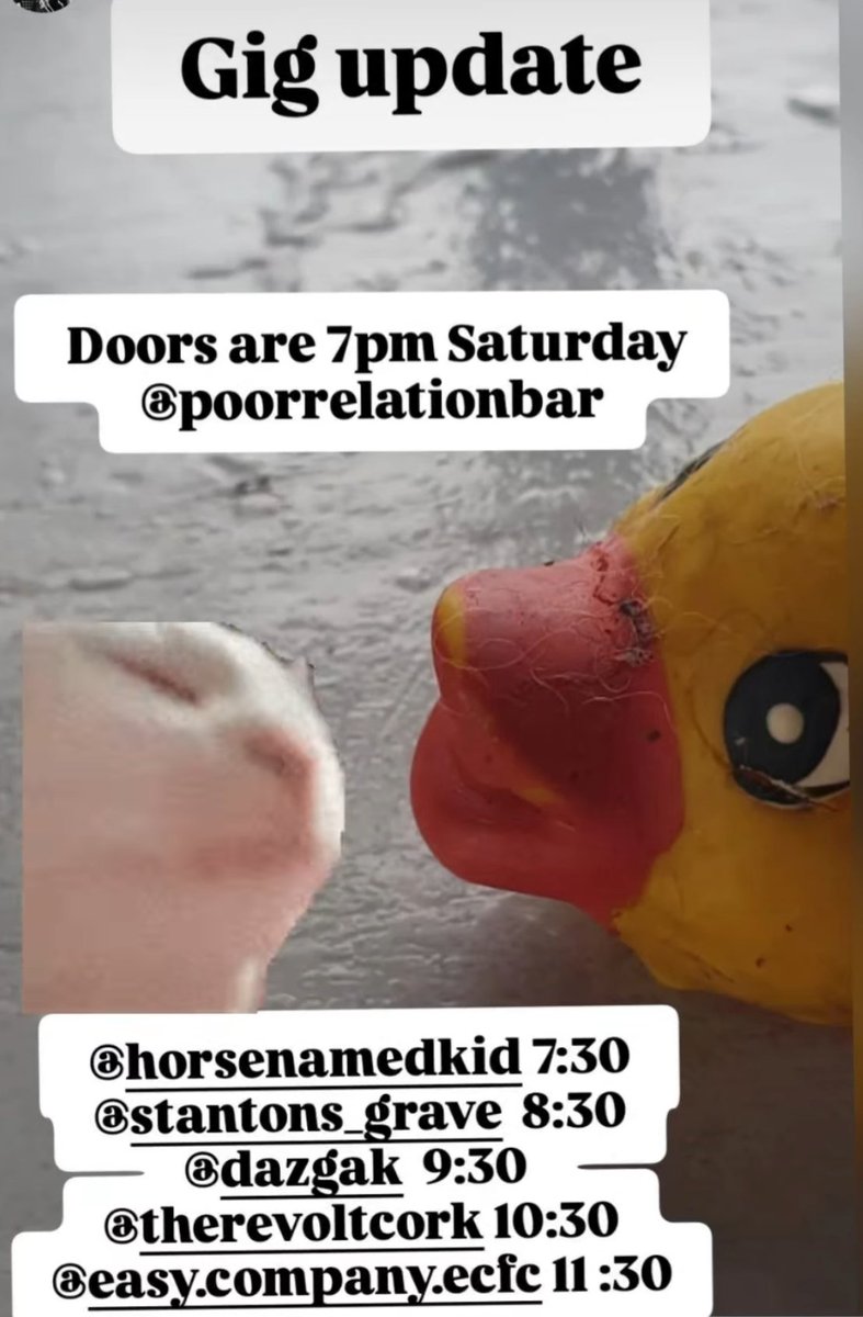 Stanton's Grave tweet media