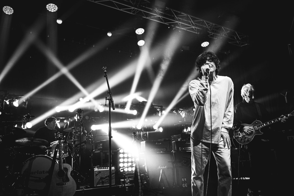 trust a fox tweet media